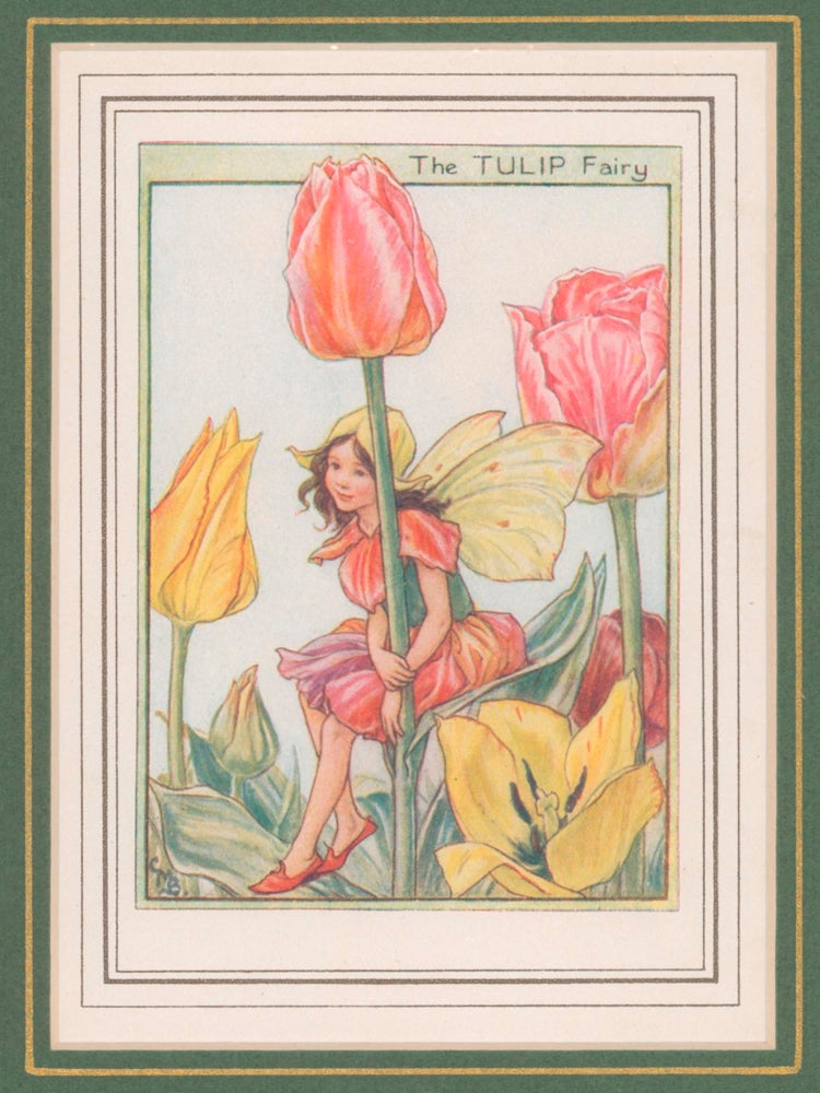 Item #58030 The Tulip Fairy [Flower Fairies mounted colour plate]. Cicely Mary BARKER.