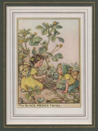 Item #58248 The Black Medick Fairy [Flower Fairies mounted colour plate]. Cicely Mary BARKER