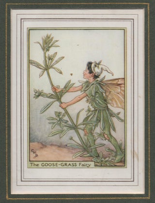Item #58251 The Goose-Grass Fairy [Flower Fairies mounted colour plate]. Cicely Mary BARKER