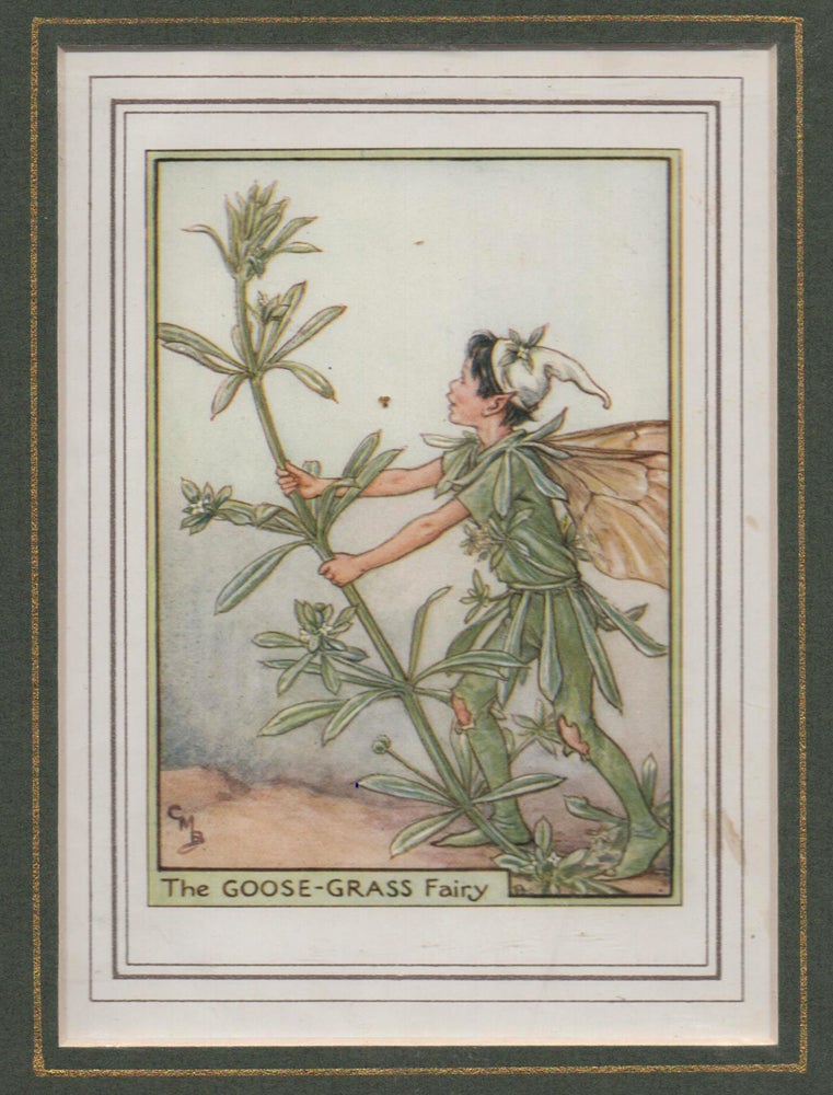 Item #58251 The Goose-Grass Fairy [Flower Fairies mounted colour plate]. Cicely Mary BARKER.