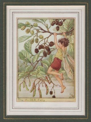 Item #58252 The Alder Fairy [Flower Fairies mounted colour plate]. Cicely Mary BARKER