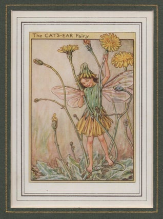 Item #58254 The Cat's-Ear Fairy [Flower Fairies mounted colour plate]. Cicely Mary BARKER