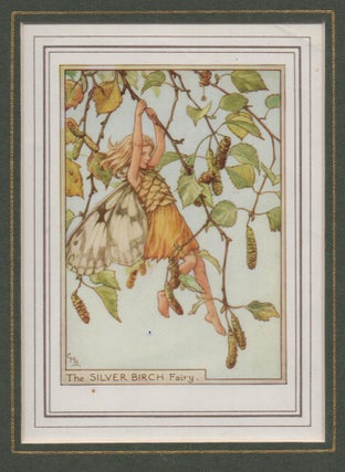 Item #58256 The Silver Birch Fairy [Flower Fairies mounted colour plate]. Cicely Mary BARKER