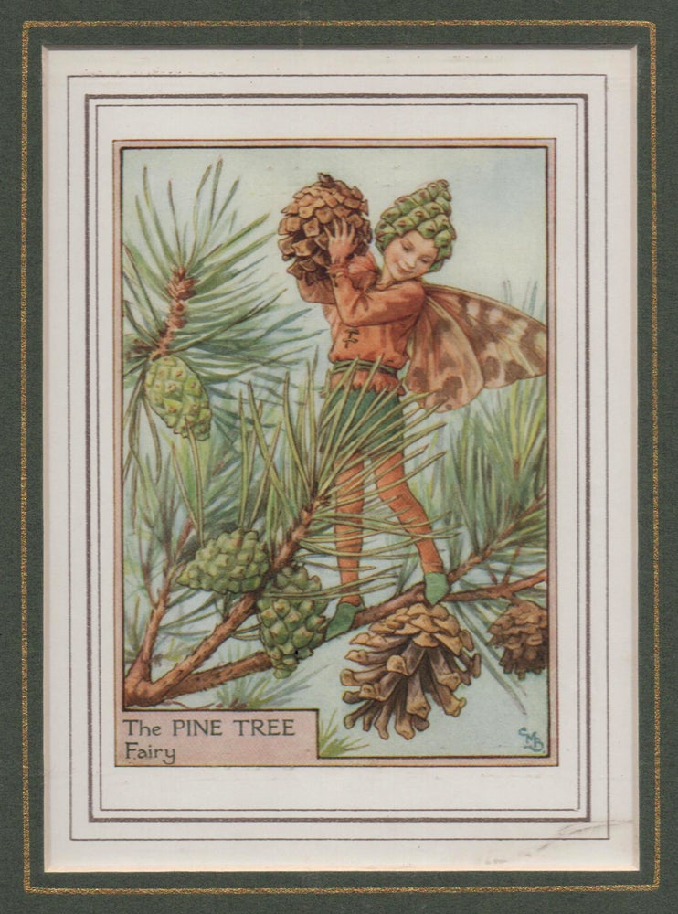 Item #58258 The Pine Tree Fairy [Flower Fairies mounted colour plate]. Cicely Mary BARKER.