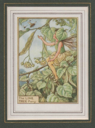 Item #58260 The Lime Tree Fairy [Flower Fairies mounted colour plate]. Cicely Mary BARKER