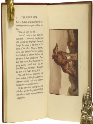 The Jungle Book. With illustrations in colour by Maurice and Edward Detmold.