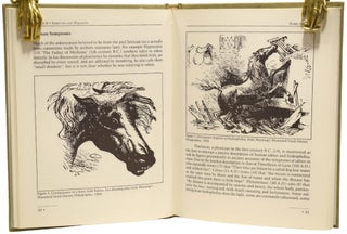 Famous Rabbi Rabies Rabbis and Rabies: A Pictorial History of Rabies Through the Ages ...
